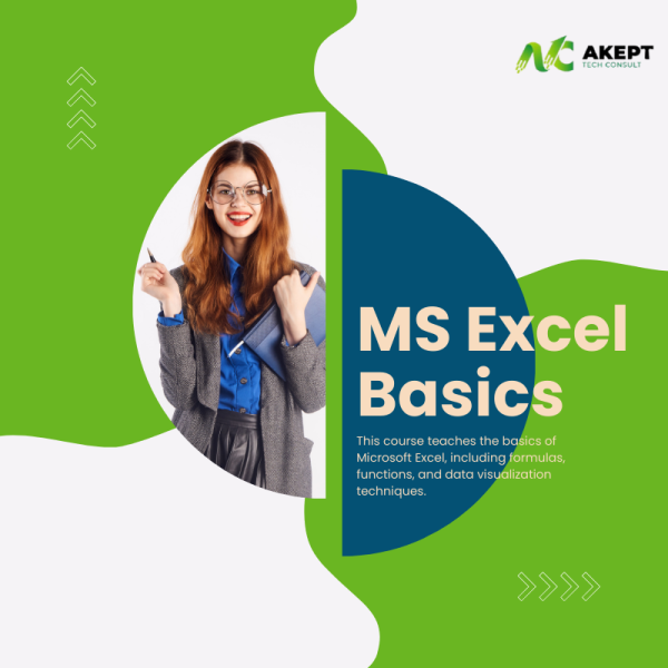 MS Excel Basics